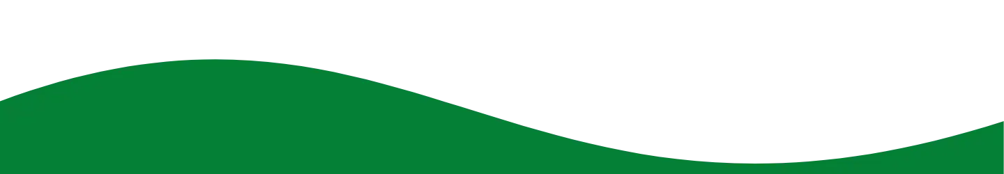 banner de raíz